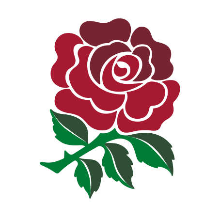 Elite athlete receiving sports injury treatment at Combo Clinic.